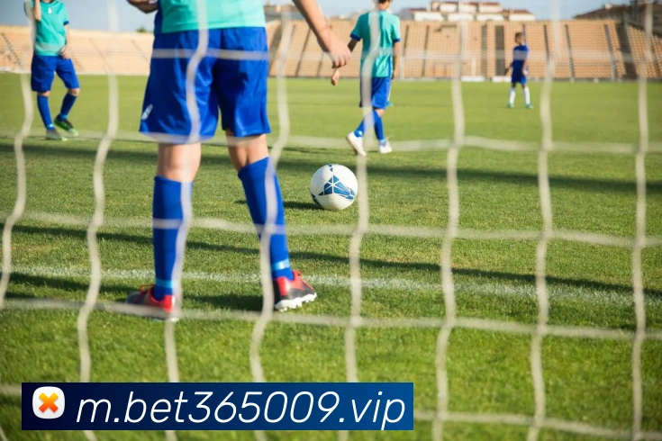 bet365中国官网全站App